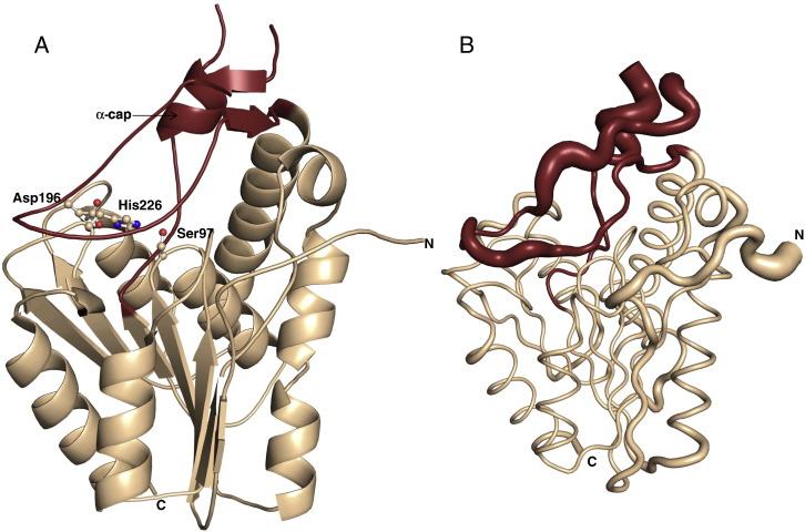 https://cdn.ncbi.nlm.nih.gov/pmc/blobs/c89b/3790968/f7d24c0709a3/gr1.jpg