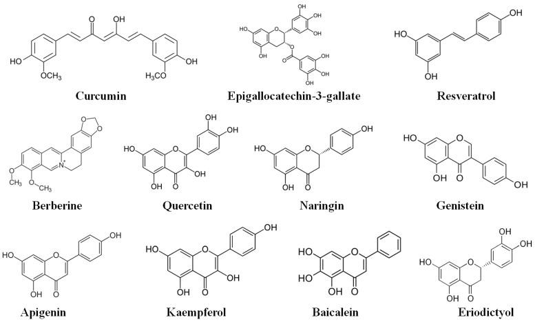 https://cdn.ncbi.nlm.nih.gov/pmc/blobs/c89d/9657994/c2105d04d9ad/molecules-27-07352-g003.jpg