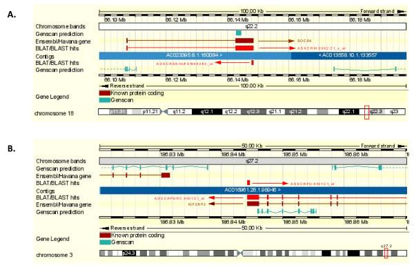 https://cdn.ncbi.nlm.nih.gov/pmc/blobs/c89e/3018462/b1289d012c31/1471-2407-10-687-3.jpg