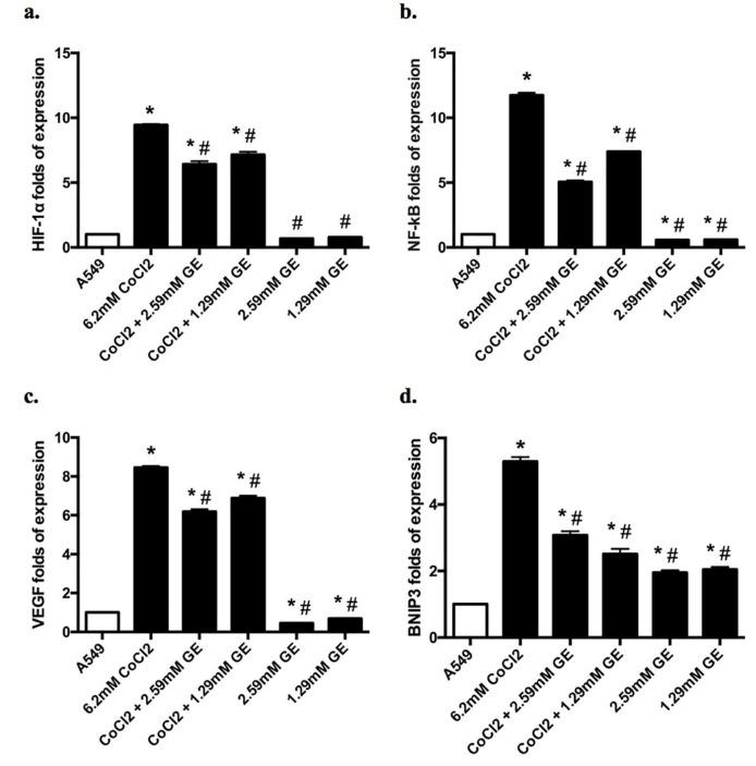 https://cdn.ncbi.nlm.nih.gov/pmc/blobs/c8a0/9012915/9523e340c5aa/apb-12-155-g005.jpg