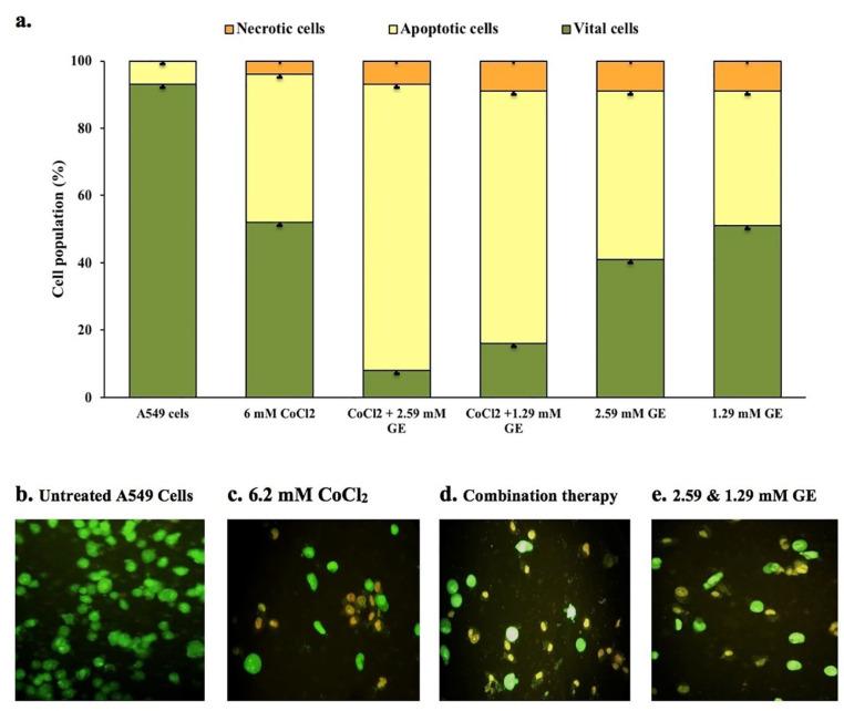 https://cdn.ncbi.nlm.nih.gov/pmc/blobs/c8a0/9012915/d0288a451ca5/apb-12-155-g003.jpg