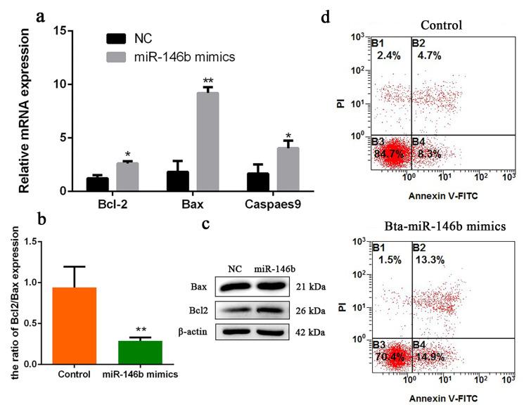 https://cdn.ncbi.nlm.nih.gov/pmc/blobs/c8a1/7312616/7b74b44caecf/ijms-21-03846-g005.jpg