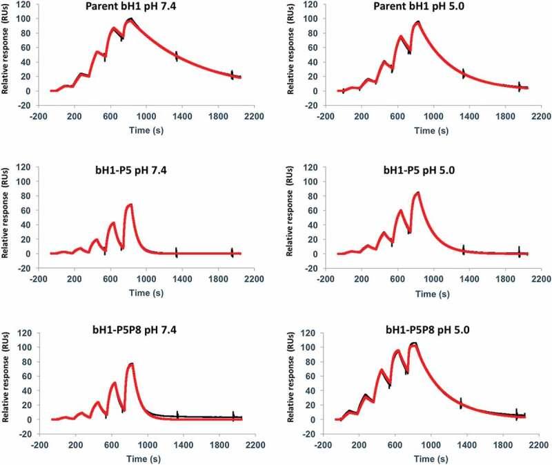 https://cdn.ncbi.nlm.nih.gov/pmc/blobs/c8a3/6927761/24e702f6dd7c/kmab-12-01-1682866-g004.jpg