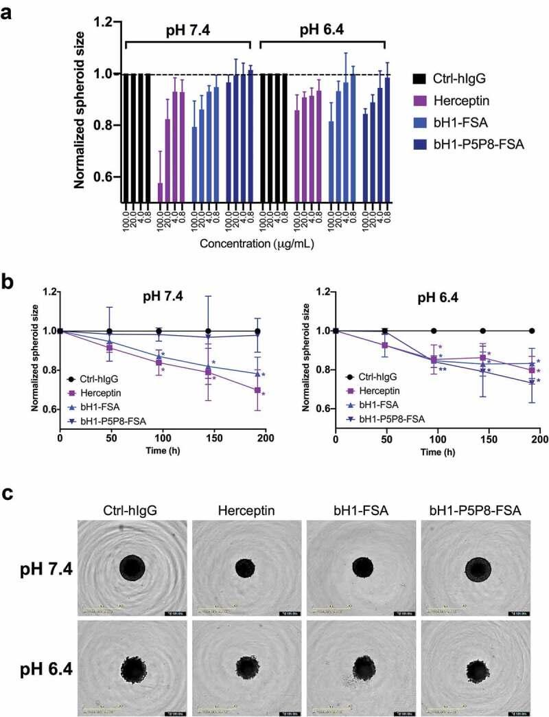 https://cdn.ncbi.nlm.nih.gov/pmc/blobs/c8a3/6927761/31ec038bd136/kmab-12-01-1682866-g008.jpg