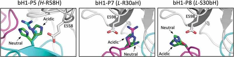 https://cdn.ncbi.nlm.nih.gov/pmc/blobs/c8a3/6927761/fcc71c912c51/kmab-12-01-1682866-g009.jpg
