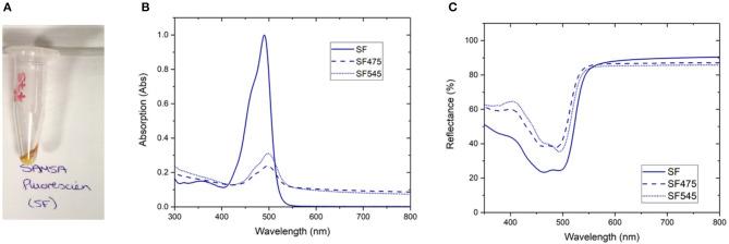 https://cdn.ncbi.nlm.nih.gov/pmc/blobs/c8a7/7779683/63ab36a003af/fchem-08-613334-g0001.jpg