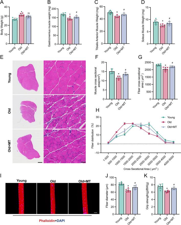 https://cdn.ncbi.nlm.nih.gov/pmc/blobs/c8a8/11607977/71a905e7c510/10020_2024_998_Fig1_HTML.jpg