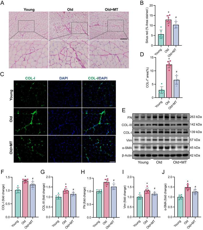 https://cdn.ncbi.nlm.nih.gov/pmc/blobs/c8a8/11607977/9b44103fe633/10020_2024_998_Fig3_HTML.jpg