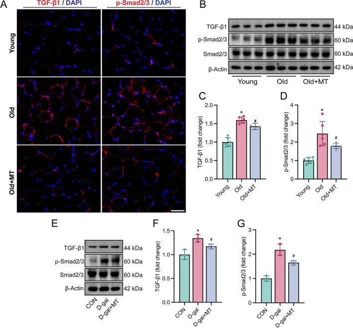 https://cdn.ncbi.nlm.nih.gov/pmc/blobs/c8a8/11607977/c2d17160ac34/10020_2024_998_Fig6_HTML.jpg