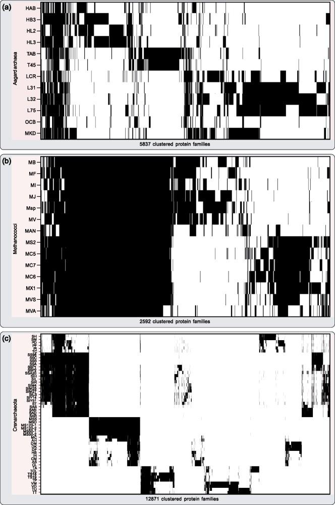https://cdn.ncbi.nlm.nih.gov/pmc/blobs/c8a9/8220308/7867c0f6e560/evab085f2.jpg