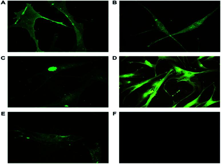 https://cdn.ncbi.nlm.nih.gov/pmc/blobs/c8a9/9064131/aac8da17510d/c8ra09688k-f3.jpg