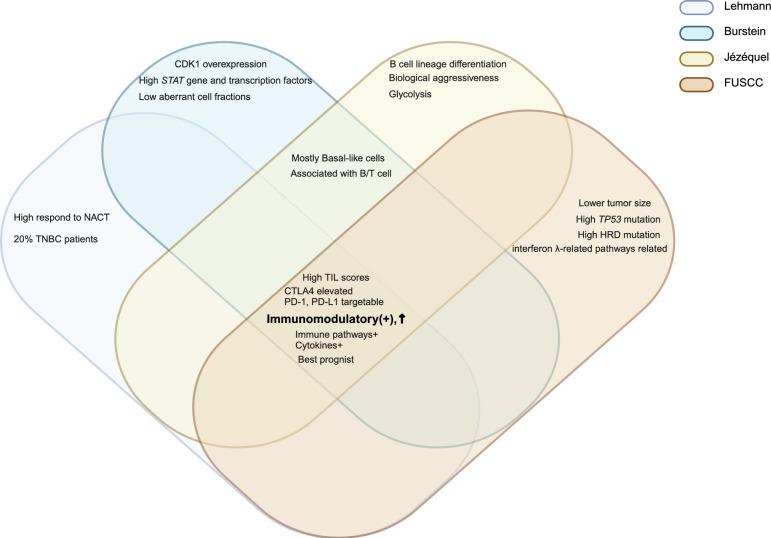https://cdn.ncbi.nlm.nih.gov/pmc/blobs/c8ae/11787746/04e350a59b89/13578_2025_1359_Fig4_HTML.jpg