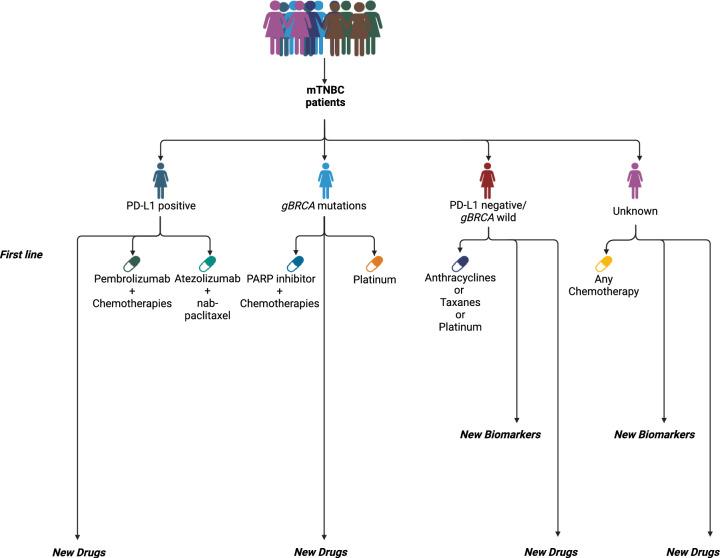 https://cdn.ncbi.nlm.nih.gov/pmc/blobs/c8ae/11787746/110db81ce0d4/13578_2025_1359_Fig1_HTML.jpg
