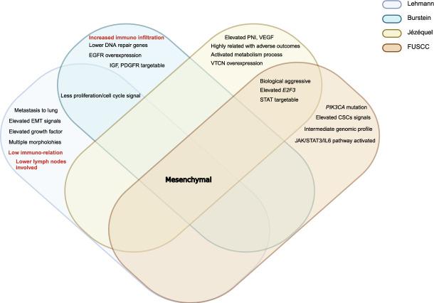 https://cdn.ncbi.nlm.nih.gov/pmc/blobs/c8ae/11787746/34ee4f949659/13578_2025_1359_Fig6_HTML.jpg