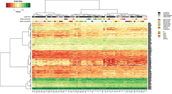 https://cdn.ncbi.nlm.nih.gov/pmc/blobs/c8af/5356868/0634ca74e5c0/oncotarget-08-3111-g002.jpg