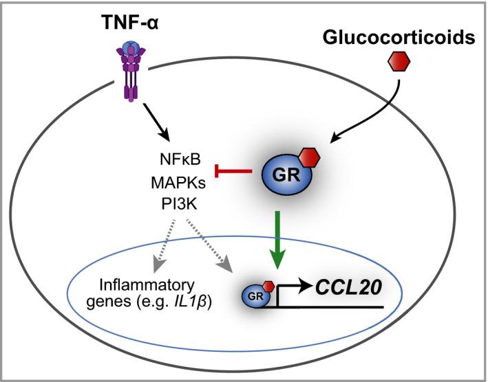 https://cdn.ncbi.nlm.nih.gov/pmc/blobs/c8b4/9290737/6b8cd6d1829a/BJD-185-1200-g005.jpg