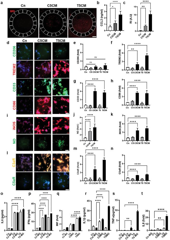 https://cdn.ncbi.nlm.nih.gov/pmc/blobs/c8b5/11022717/3442b6661ca7/ADVS-11-2305326-g002.jpg