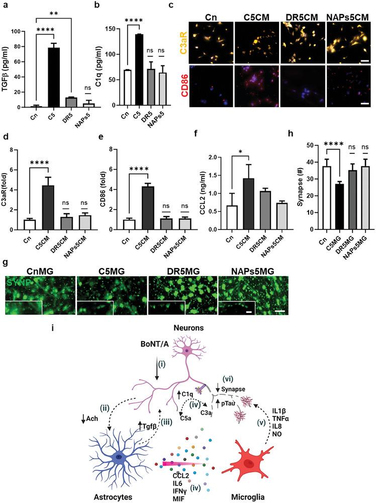 https://cdn.ncbi.nlm.nih.gov/pmc/blobs/c8b5/11022717/db70e261b919/ADVS-11-2305326-g003.jpg