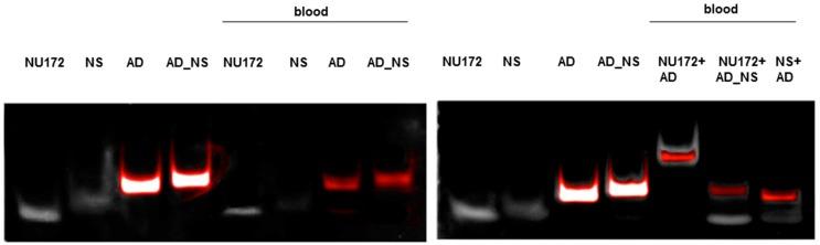 https://cdn.ncbi.nlm.nih.gov/pmc/blobs/c8b6/6152687/02e44fbd97db/molecules-22-00954-g003.jpg