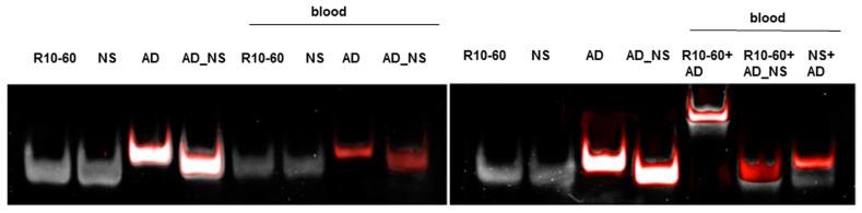 https://cdn.ncbi.nlm.nih.gov/pmc/blobs/c8b6/6152687/0adf922ad8cd/molecules-22-00954-g004.jpg