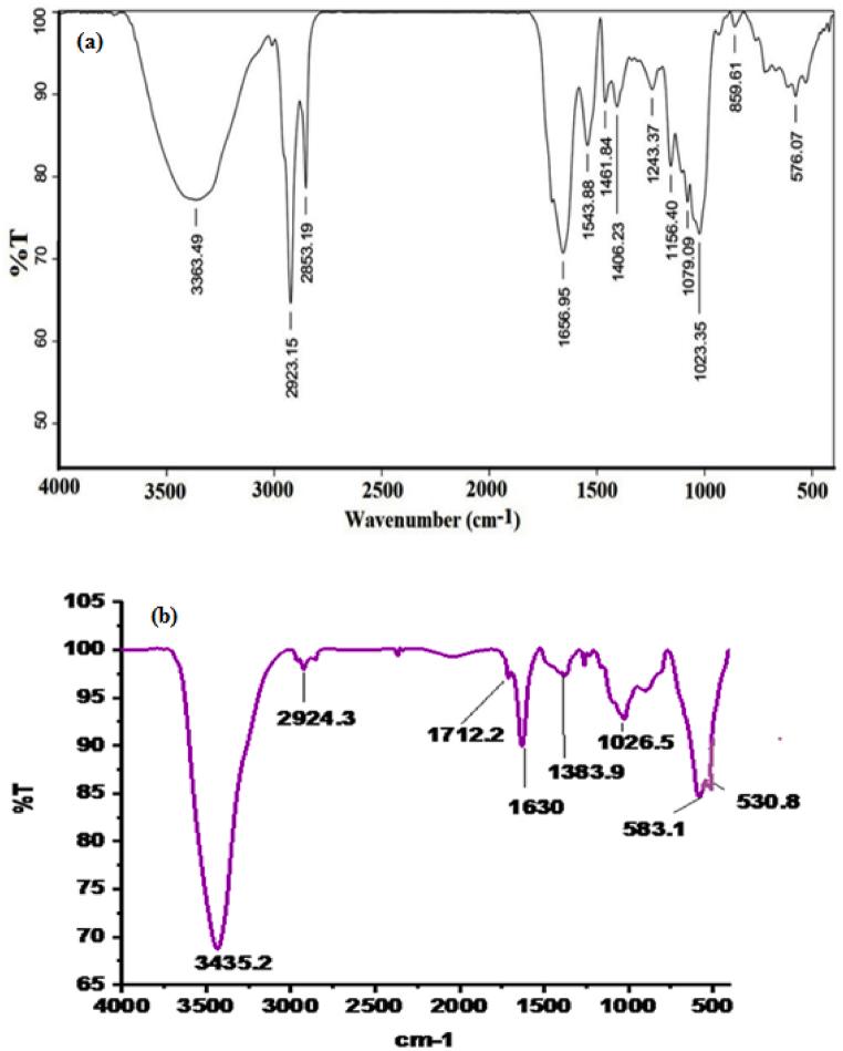 https://cdn.ncbi.nlm.nih.gov/pmc/blobs/c8b8/10944281/59c55788e9d5/gr2.jpg