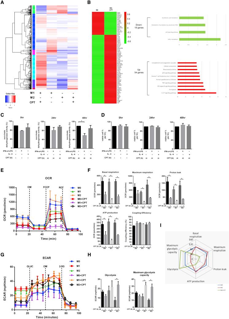 https://cdn.ncbi.nlm.nih.gov/pmc/blobs/c8b9/9271981/59557e69c050/gr2.jpg