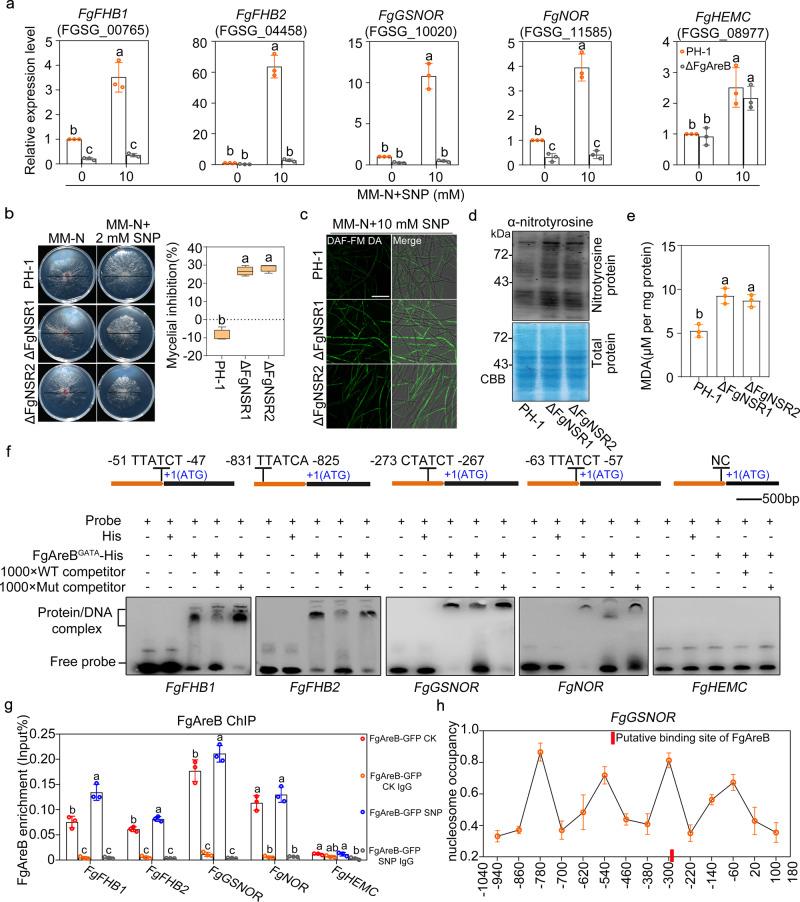 https://cdn.ncbi.nlm.nih.gov/pmc/blobs/c8ba/8102577/0183aea0ddb3/41467_2021_22831_Fig2_HTML.jpg