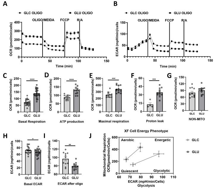 https://cdn.ncbi.nlm.nih.gov/pmc/blobs/c8bc/11567245/7a436fa69c82/AD-15-6-2742-g4.jpg