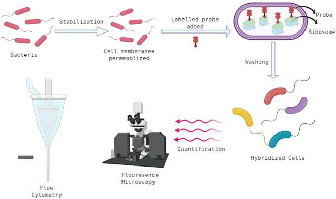 https://cdn.ncbi.nlm.nih.gov/pmc/blobs/c8bc/8324937/c950913c9f1c/gr2.jpg