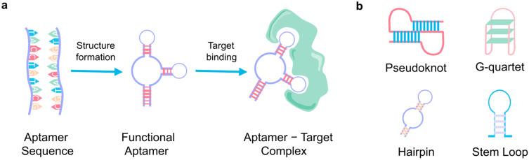 https://cdn.ncbi.nlm.nih.gov/pmc/blobs/c8bd/12109747/842b63c59895/biosensors-15-00277-g002.jpg