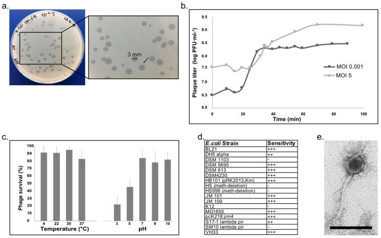 https://cdn.ncbi.nlm.nih.gov/pmc/blobs/c8be/10673088/3558a6e7e153/microorganisms-11-02688-g001.jpg