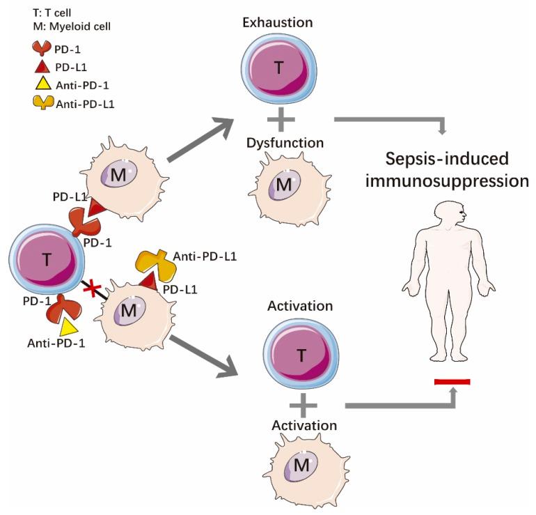 https://cdn.ncbi.nlm.nih.gov/pmc/blobs/c8be/6862039/58fb05ea4cc4/ijms-20-05376-g004.jpg