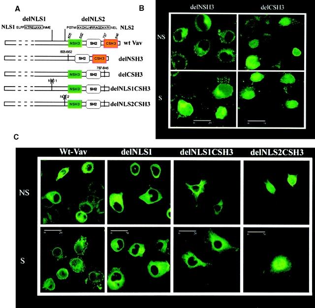 https://cdn.ncbi.nlm.nih.gov/pmc/blobs/c8c0/2193716/2b7e54165339/011701f2ac.jpg