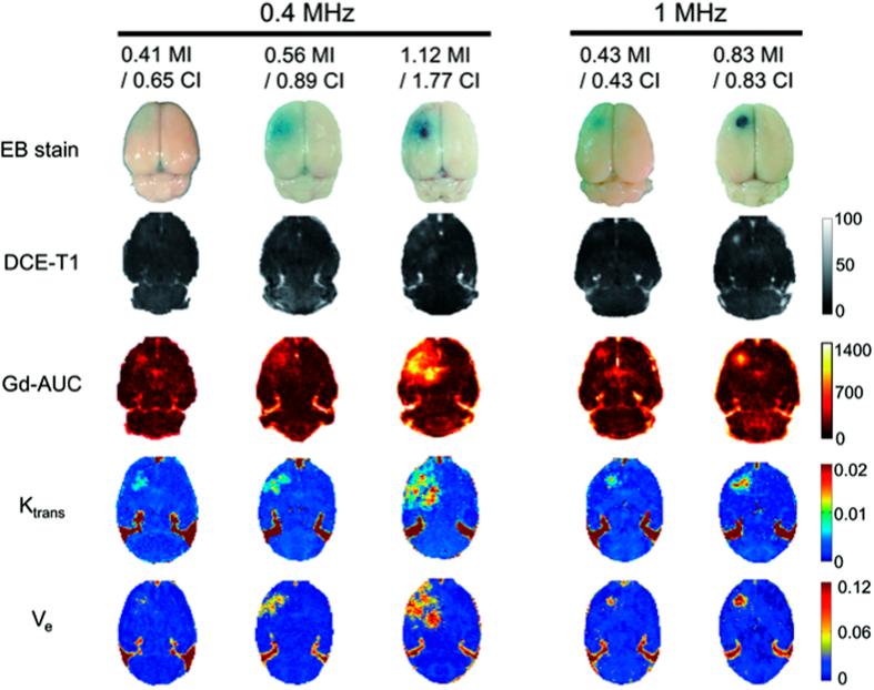 https://cdn.ncbi.nlm.nih.gov/pmc/blobs/c8c1/5024096/1a3002bb1530/srep33264-f1.jpg