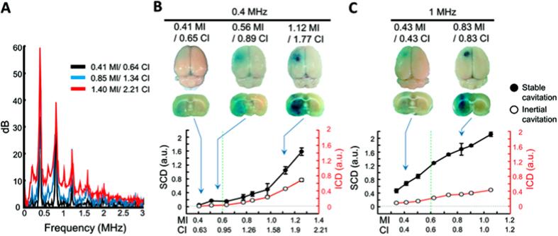 https://cdn.ncbi.nlm.nih.gov/pmc/blobs/c8c1/5024096/c20c7787917e/srep33264-f7.jpg