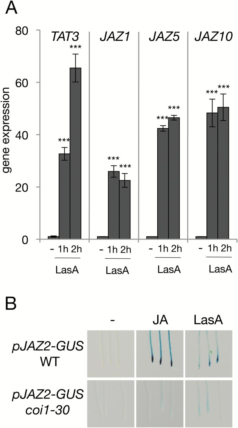 https://cdn.ncbi.nlm.nih.gov/pmc/blobs/c8c3/5972634/da7c65d9b648/ery11402.jpg
