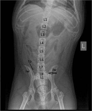 https://cdn.ncbi.nlm.nih.gov/pmc/blobs/c8c4/11148713/e7d738b0d893/VETMED-69-05-123102-g012.jpg