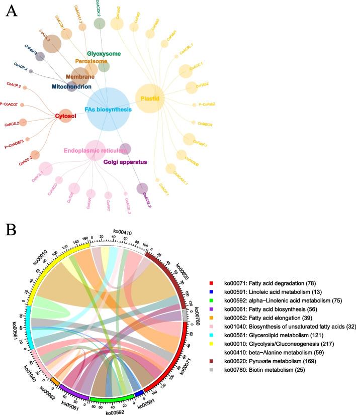https://cdn.ncbi.nlm.nih.gov/pmc/blobs/c8c5/12359935/03a0a21503bf/12870_2025_7063_Fig7_HTML.jpg