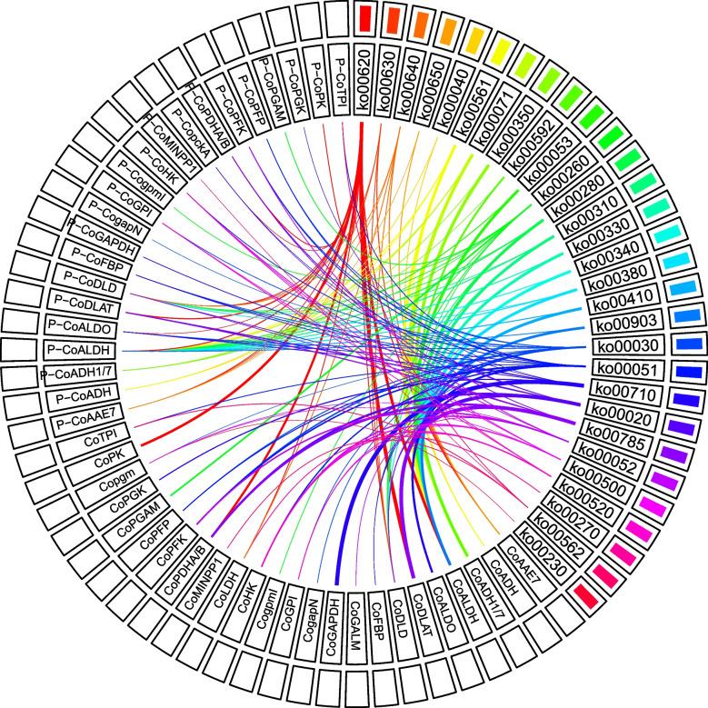 https://cdn.ncbi.nlm.nih.gov/pmc/blobs/c8c5/12359935/87aa068d6743/12870_2025_7063_Fig4_HTML.jpg