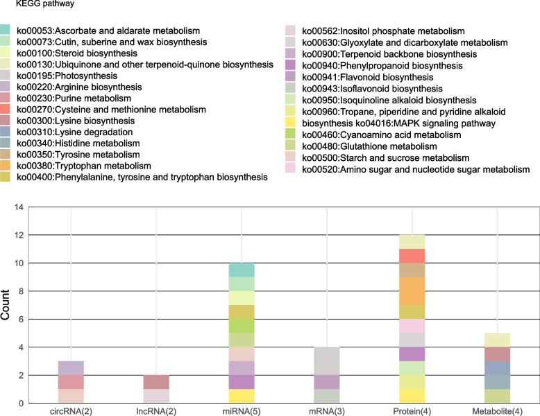 https://cdn.ncbi.nlm.nih.gov/pmc/blobs/c8c5/12359935/cf13918cd506/12870_2025_7063_Fig6_HTML.jpg