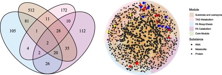 https://cdn.ncbi.nlm.nih.gov/pmc/blobs/c8c5/12359935/efee2eab9d16/12870_2025_7063_Fig8_HTML.jpg