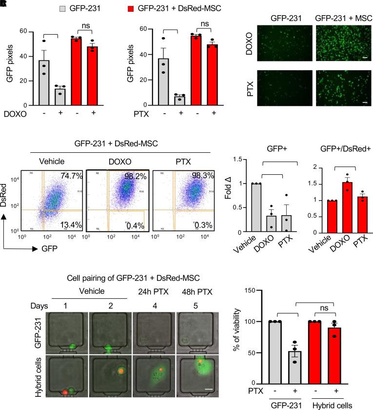 https://cdn.ncbi.nlm.nih.gov/pmc/blobs/c8c6/10561721/02cccedb9a20/jciinsight-8-164216-g143.jpg