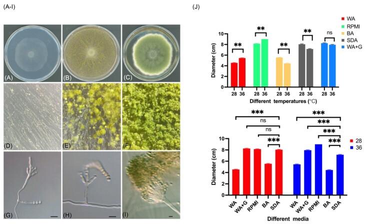 https://cdn.ncbi.nlm.nih.gov/pmc/blobs/c8c6/11040519/edd55f7292c5/myae034fig1.jpg