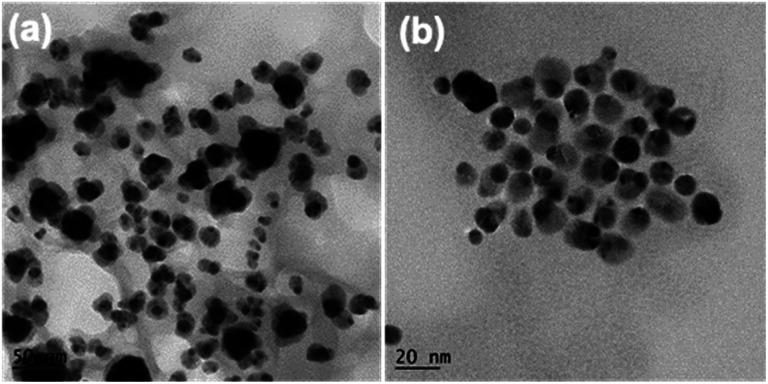https://cdn.ncbi.nlm.nih.gov/pmc/blobs/c8c6/9812016/8c63819fe881/d2ra06325e-f5.jpg