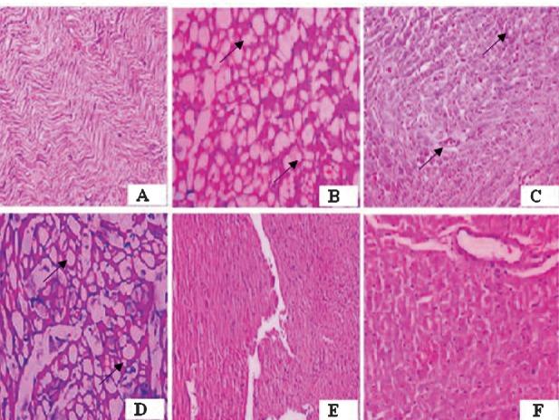 https://cdn.ncbi.nlm.nih.gov/pmc/blobs/c8c7/4743348/a0cd720156cb/IJMR-142-598-g004.jpg