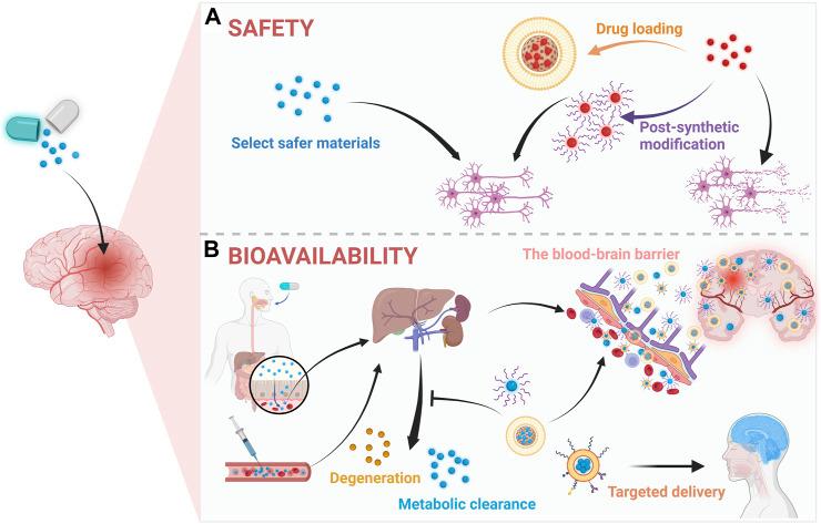 https://cdn.ncbi.nlm.nih.gov/pmc/blobs/c8c8/10523393/ac47d61f6fb6/fbioe-11-1265153-g003.jpg