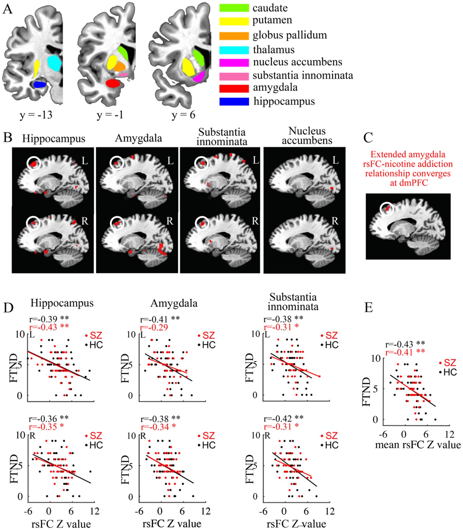 https://cdn.ncbi.nlm.nih.gov/pmc/blobs/c8ca/11445730/0a5b5f6bd5b6/nihms-2025604-f0001.jpg