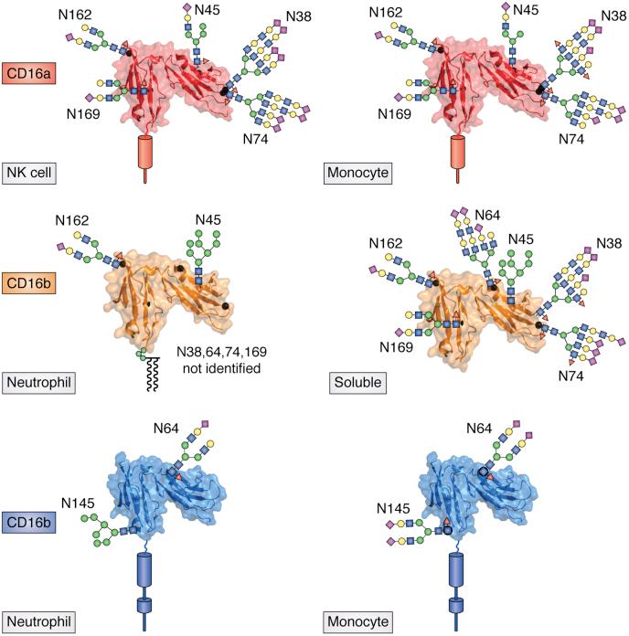 https://cdn.ncbi.nlm.nih.gov/pmc/blobs/c8ca/7948983/491e9866809f/gr3.jpg