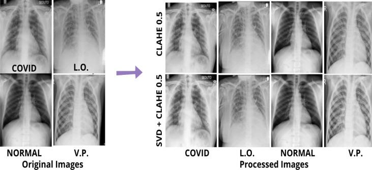 https://cdn.ncbi.nlm.nih.gov/pmc/blobs/c8cc/9514969/3df30772c6f7/gr2_lrg.jpg