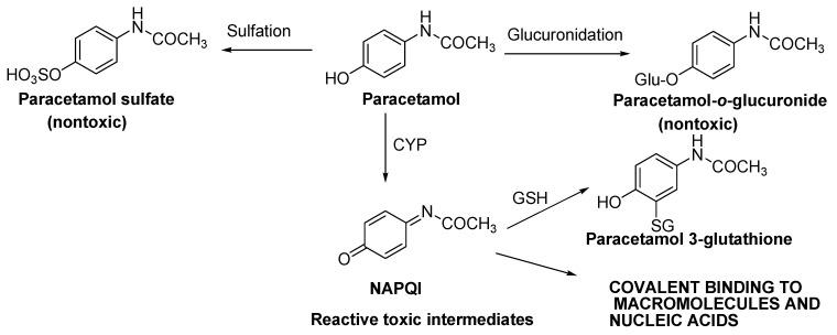 https://cdn.ncbi.nlm.nih.gov/pmc/blobs/c8cd/10780808/e3f7e0b9c9f0/molecules-29-00249-sch001.jpg